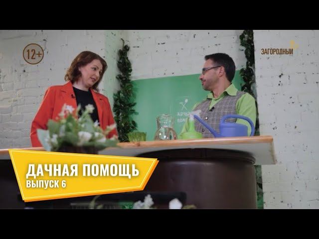 Дачная помощь // Выпуск 6 смотреть онлайн