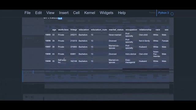 DataFrame Basics - Attributes and Methods | Python Pandas Tutorial смотреть онлайн