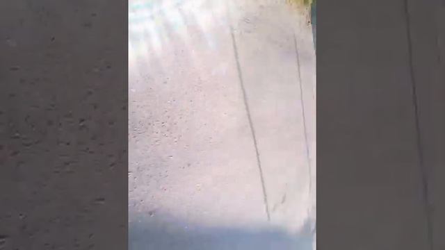 Приключения на жопу 4 смотреть онлайн