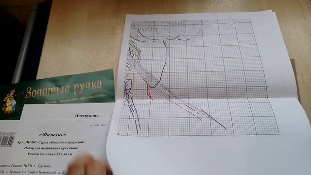Обзор на набор Физалис от Золотых ручек. смотреть онлайн