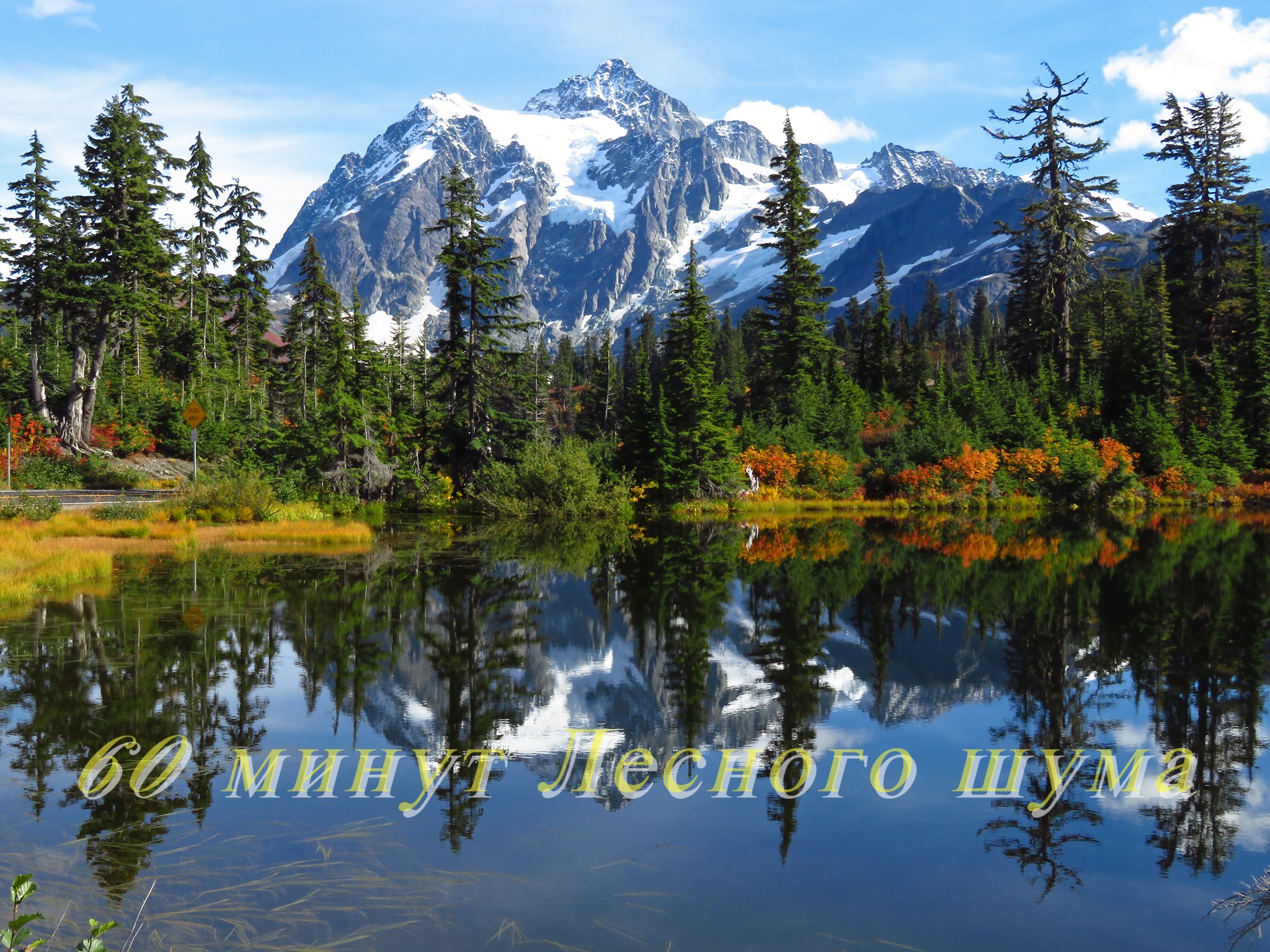 Музыкальная подборка ♬ 49 – Шум лесной природы ( The noise of the forest nature ). смотреть онлайн