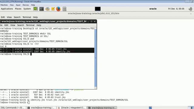 Self signed Certificate In Weblogic12c for https communication on Linux смотреть онлайн