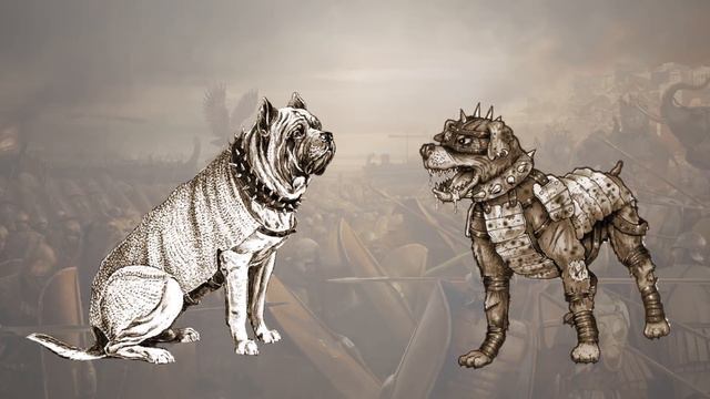 Canis Pugnax | How Did the Ancient Romans Use Dogs in War? смотреть онлайн