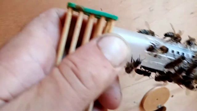 Подсадка неплодной матки в пчелосемью смотреть онлайн