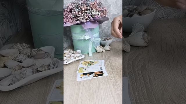 Что вам нужно знать на момент 