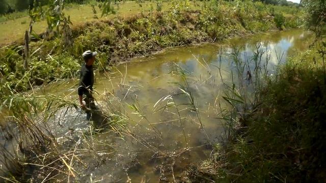ЛОВЛЯ РЫБЫ РУКАМИ В БОЛОТЕ ЭКСТРЕМАЛЬНАЯ РЫБАЛКА КАРАСЯ смотреть онлайн