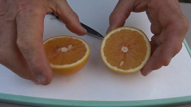 Обзор апельсинов .