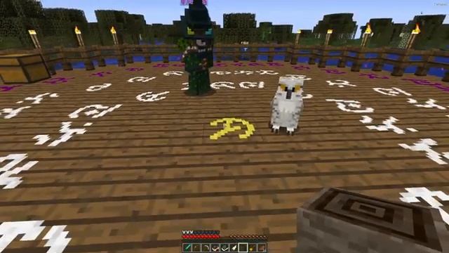 Как стать Ведьмой или Ведьмаком в Майнкрафт смотреть онлайн