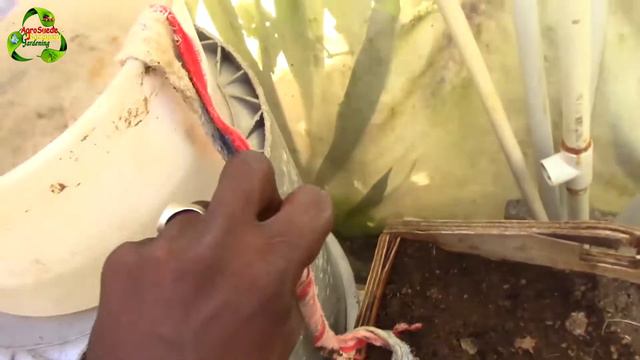 HOW TO: DIY self watering system for plants or trees || Agrosuede ✔ смотреть онлайн