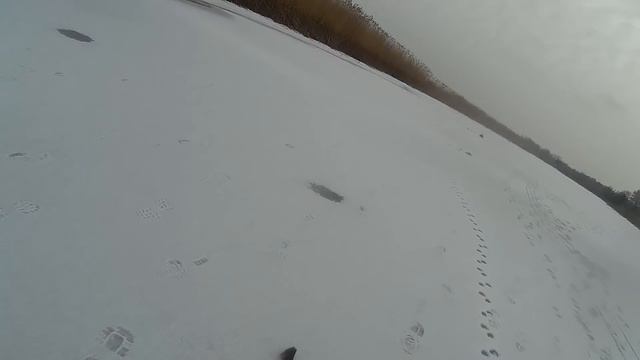 ВЫПЛЫВАЕМ НА ЛЕД!!! ПОЛОСАТЫЕ КАБАНЫ НА БЕЗМОТЫЛКУ! смотреть онлайн