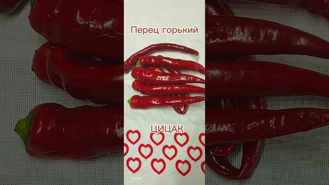 Продаю семена коллекционных томатов и перца. смотреть онлайн