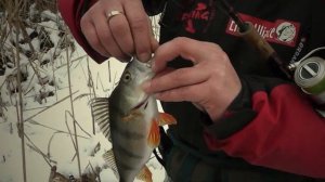 Рыбалка на Северском Донце в феврале. Winter fish.