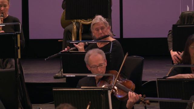 Alina Ibragimova Performs J. Brahms Violin Concerto In D Major, Op.77