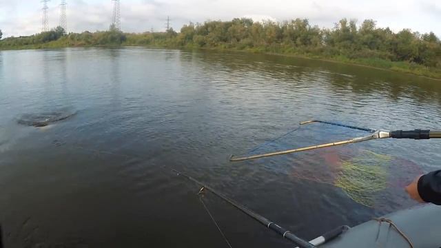 Рыбалка на реке Сухона. Мой первый крупный ЖЕРЕХ. смотреть онлайн