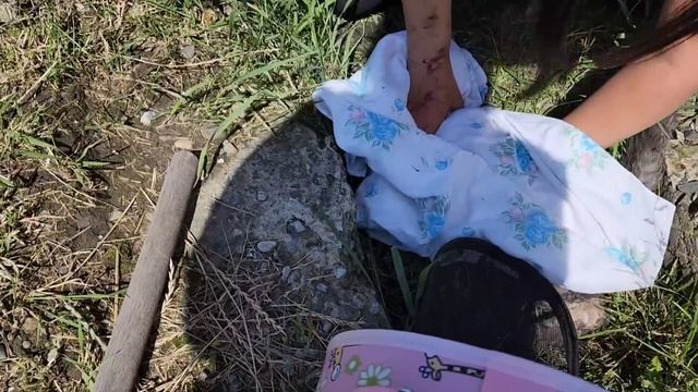 Как началось мой ДР, краткие новости о нашей потеряшке Молли. смотреть онлайн