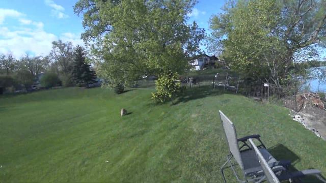 Утром с собаками на озере смотреть онлайн