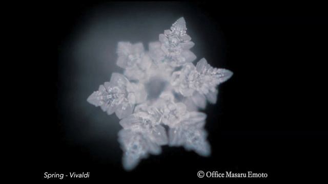 Le secret de l’eau - Masaru Emoto смотреть онлайн
