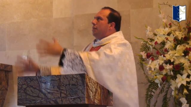 Divina Eucaristía - Solemnidad del Sagrado Corazón de Jesús 19/06/20 05:00 pm смотреть онлайн