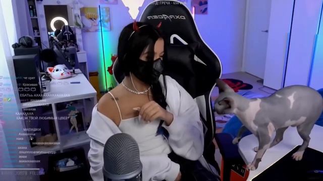 ШООК КОШКА СНЯЛА МАСКУ С TENDERLYBAE ПРЯМО НА СТРИМЕ смотреть онлайн