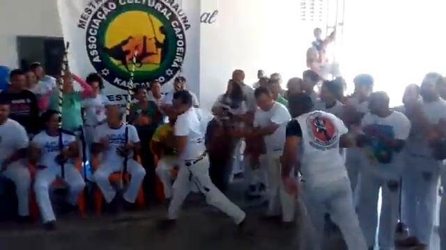 Tucano nova geração ginga de capoeira смотреть онлайн
