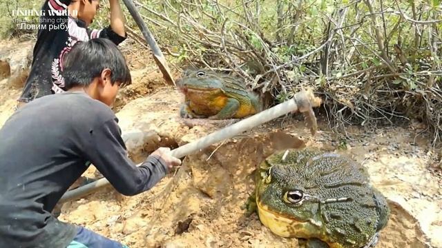 Нашумевшая наживка на сома! Я даже не догадывался! На что сом летом клюет лучше всего? смотреть онлайн