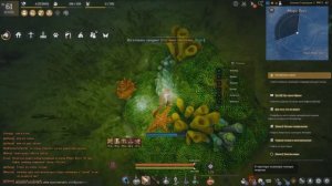 [Black Desert] Где нафармить много клея