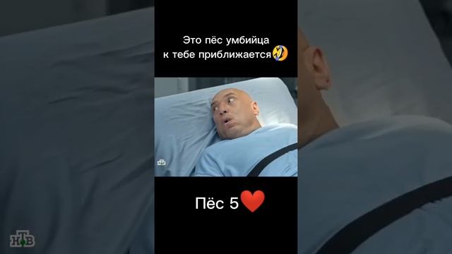 Пес 5 смотреть онлайн