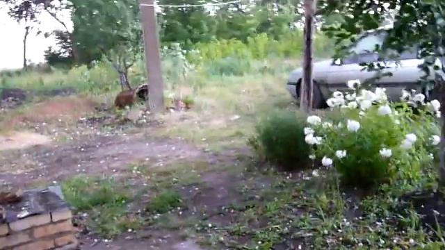 Град .Лето 2009 .Воронежская область смотреть онлайн