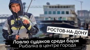 Кого поймал под баржами в центре города Рыбалка на спиннинг в центре Ростова.  Открытие сезона 2023