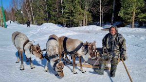 Вороний день "СОК Радуга"