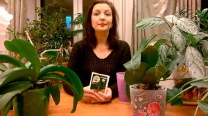 ОРХИДЕИ УХОД _ КОРНЕВИН  ДЛЯ ОРХИДЕЙ _  ВРЕД , ИЛИ ПОЛЬЗА _