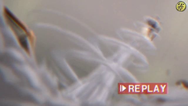 Смешные моменты из аниме ангельские ритмы смотреть онлайн