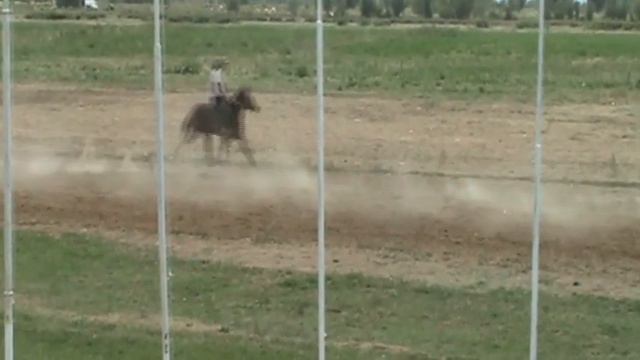 Барон 2 жаш кези Спринтерде да Кунан жоргодо да 1 келген смотреть онлайн