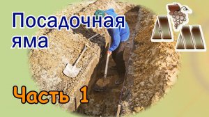 ? Посадочная яма для винограда (часть 1). Размеры, организация полива и подкормок