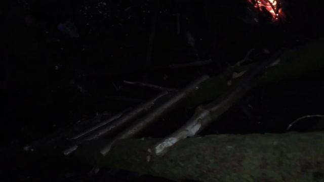 Строительство дома на дереве.Часть первая. смотреть онлайн