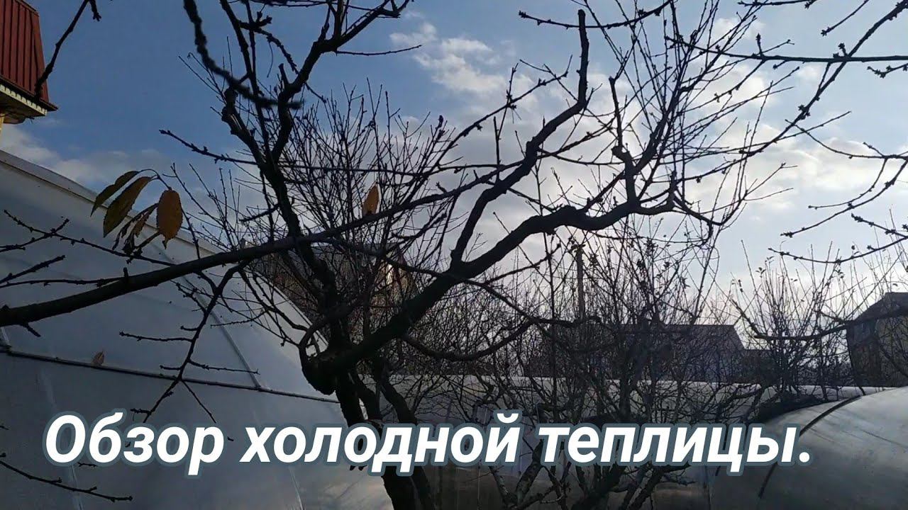 Обзор холодной теплицы. Декабрь 2019. смотреть онлайн