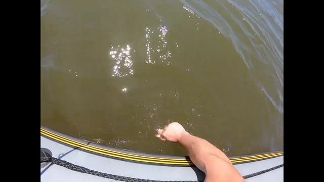 Рыбалка лето 2019!Астраханская область,Харабали!Река Ахтуба,база отдыха Судачье Место ?? смотреть онлайн