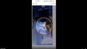 Как отправить фото в Одноклассники с телефона?