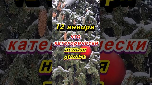 12 января народный праздник Анисьин день: что категорически нельзя делать #приметы #приметыдня смотреть онлайн
