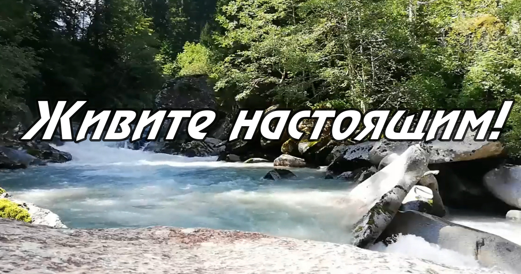 Живите настоящим! смотреть онлайн