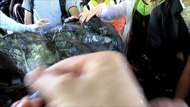 Маленькое путешествие в большой Китай. Экскурсия в "Сад скромного чиновника". смотреть онлайн