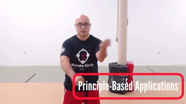Shared Promo Karate Unity and Karate Praxis Online Seminars смотреть онлайн