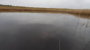 Финский залив. Ловля щуки в заброд.