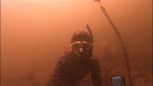 Freediver живой тест драйв 2