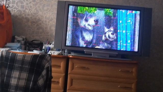 1000004740.mp4 смотреть онлайн
