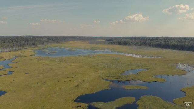 Каллеловский разлив смотреть онлайн