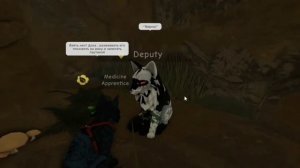 Как проводить тест на ЦЕЛИТЕЛЯ В КОТАХ ВОИТЕЛЯХ ROBLOX ?!