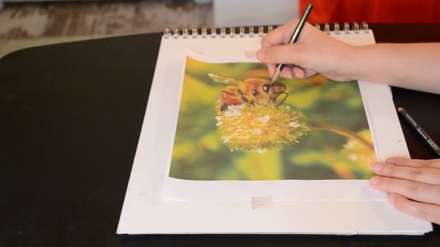 Drawing lesson: How to easily trace without tracing paper смотреть онлайн