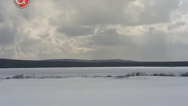 ПОСВИР в беде!. смотреть онлайн