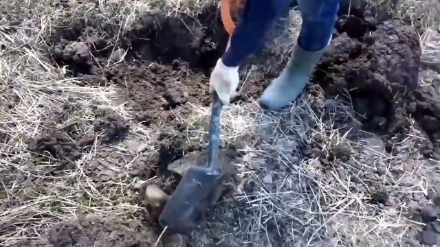 Клад 110 монет Екатерины 2 из них штук 100 пятаков и 10 двух копеечных монет смотреть онлайн